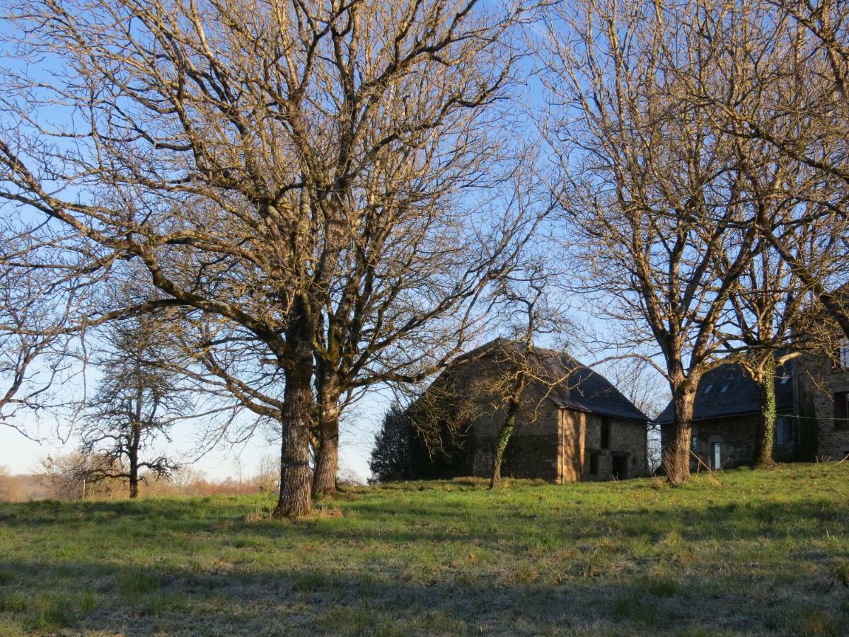 Bed and Breakfast Domaine De La Clauzade Saint-Germain-les-Vergnes Esterno foto